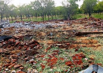 மதுரை மாவட்டம் திருமங்கலம் அருகே பட்டாசு ஆலையில் பயங்கர வெடி விபத்து-பெண் உட்பட 5 பேர் உடல் சிதறி பரிதாப பலி