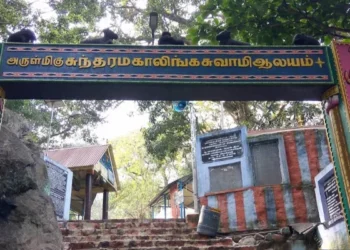 சதுரகிரியில் கட்டுக்கடங்காத காட்டுத்தீ – மலைக்கு செல்ல பக்தர்களுக்கு தடை